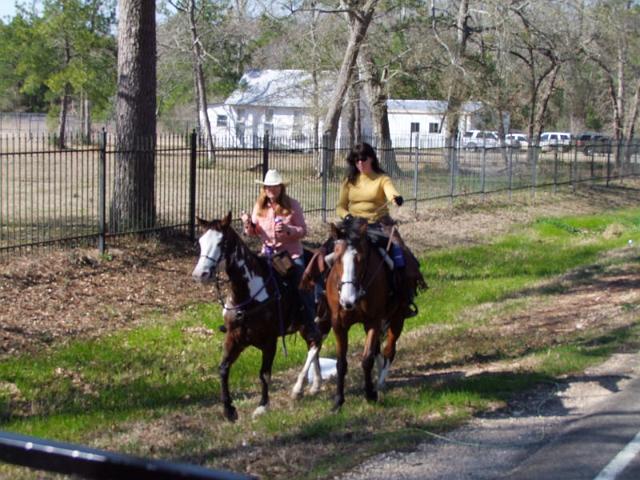 144-Terry & Friend.jpg